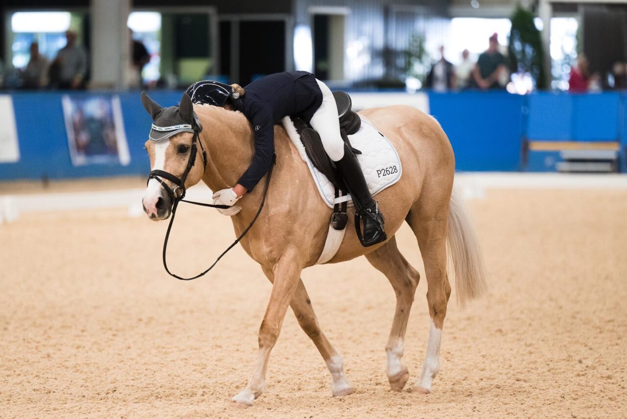 2023 PSI Dressage & Jumping with the Stars